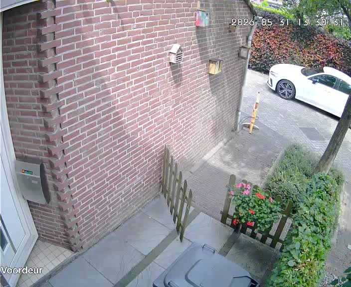 Laatste snapshot